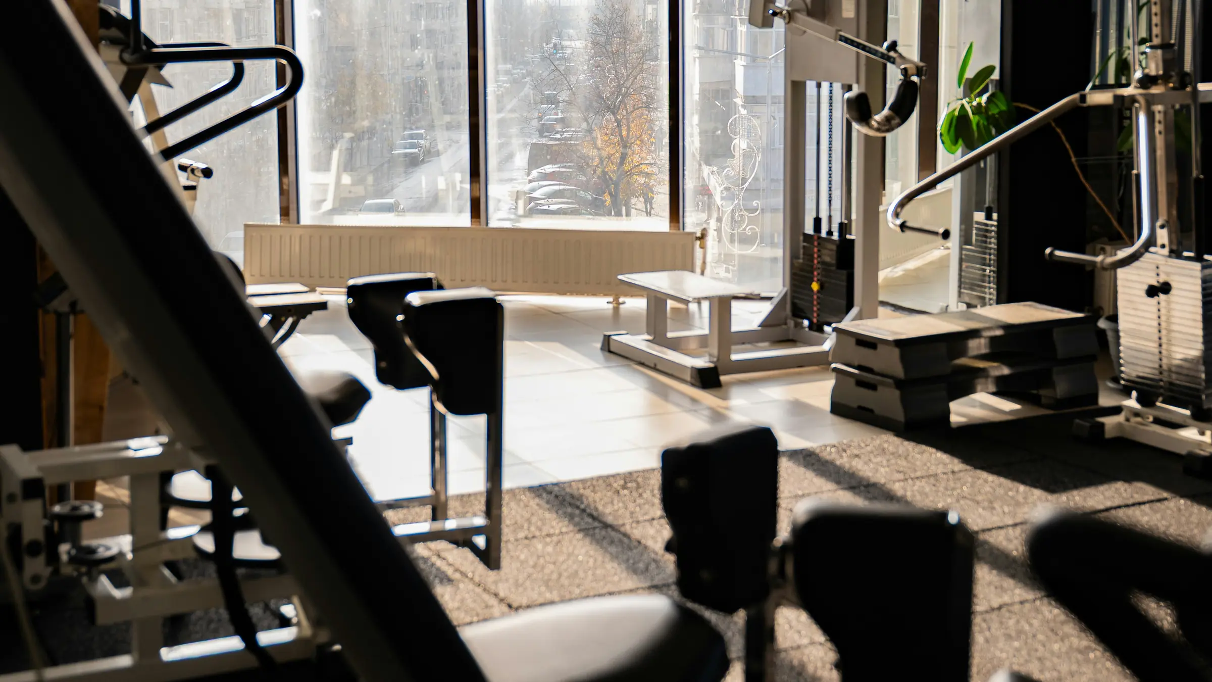 An empty gym in morning light: benches and machines by tall windows, and nobody training.